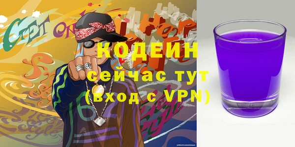 гашик Заводоуковск