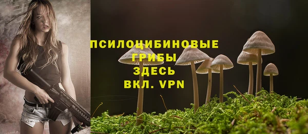альфа пвп Заволжск