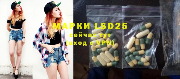 гашик Заводоуковск