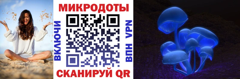 Галлюциногенные грибы GOLDEN TEACHER  Купить закладки  Куровское 